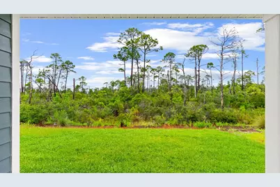 291 Vermilion Cir, Port Saint Joe, FL 32456 - Photo 29
