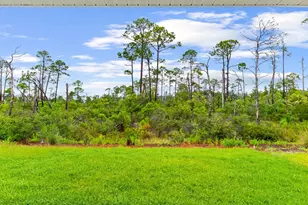 291 Vermilion Cir, Port Saint Joe, FL 32456 - Photo 29
