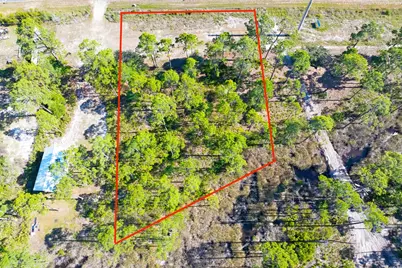 9103 Cr 30-A, Port Saint Joe, FL 32456 - Photo 5