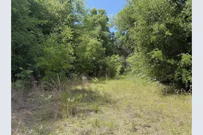 5581 Hwy 71 S, Wewahitchka, FL 32465 - Photo 3