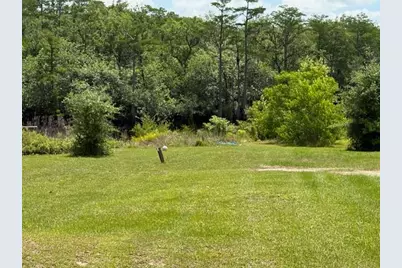 2847 SE Adams St, Kinard, FL 32449 - Photo 33