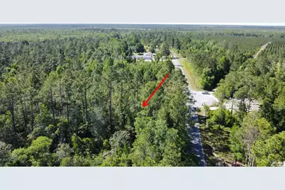 Lot 1 Old Bay City Rd, Wewahitchka, FL 32465 - Photo 7
