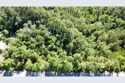 Lot 1 Old Bay City Rd, Wewahitchka, FL 32465 - Photo 5