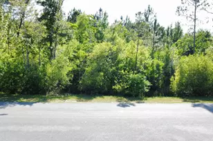 Lot 1 Old Bay City Rd, Wewahitchka, FL 32465 - Photo 1