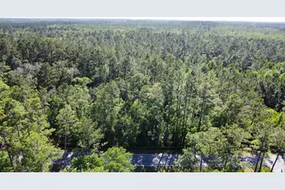 Lot 1 Old Bay City Rd, Wewahitchka, FL 32465 - Photo 3