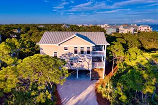 2020 Whelk Way, Saint George Island, FL 32328 - Photo 55