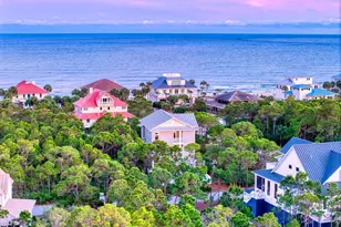 2020 Whelk Way, Saint George Island, FL 32328 - Photo 47