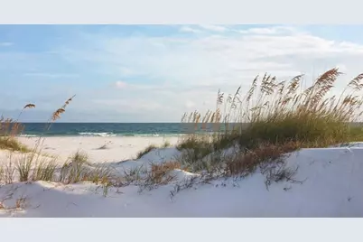 9436 Starfish Ave, Port Saint Joe, FL 32456 - Photo 33