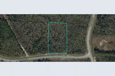 103 Torrey Pine Trl, Wewahitchka, FL 32465 - Photo 3