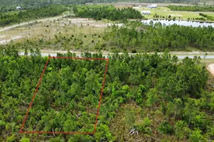 103 Torrey Pne Trl, Wewahitchka, FL 32465 - Photo 1
