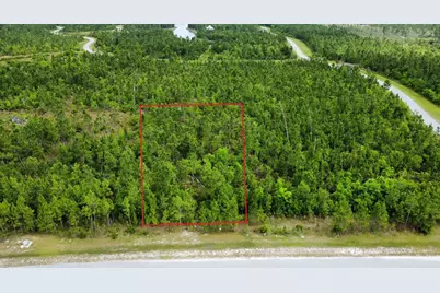 103 Torrey Pine Trl, Wewahitchka, FL 32465 - Photo 5