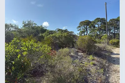 105 Sand Trace Dr, Cape San Blas, FL 32456 - Photo 1