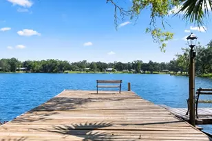 480 Lakeview Dr, Wewahitchka, FL 32465 - Photo 59