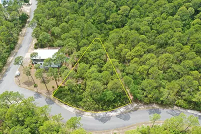 133 Fishhook Way, Saint Teresa, FL 32358 - Photo 3