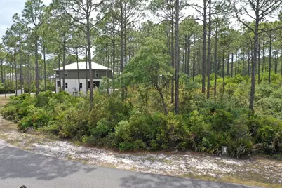 133 Fishhook Way, Saint Teresa, FL 32358 - Photo 21
