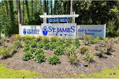 126 Anhinga Trl, Carrabelle, FL 32323 - Photo 3
