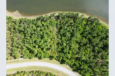110 Torrey Pine Trl, Wewahitchka, FL 32465 - Photo 3