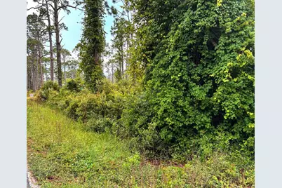 Tbd Sr 30-A, Port Saint Joe, FL 32456 - Photo 5