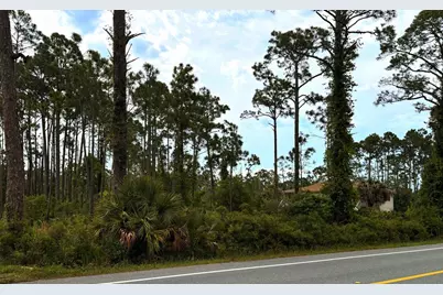 Tbd Sr 30-A, Port Saint Joe, FL 32456 - Photo 3