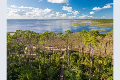 338 Cape San Blas Rd, Cape San Blas, FL 32456 - Photo 59