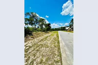 183 Lakes On The Bluff Dr, Eastpoint, FL 32328 - Photo 5