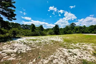 183 Lakes On The Bluff Dr, Eastpoint, FL 32328 - Photo 1