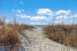 149 Boardwalk Ave, Cape San Blas, FL 32456 - Photo 63