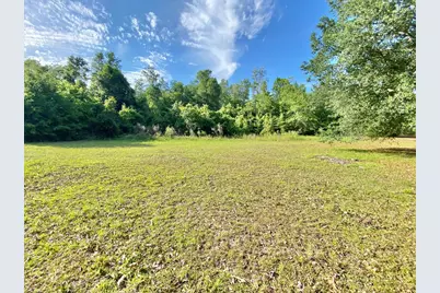352 Michael St, Wewahitchka, FL 32465 - Photo 23