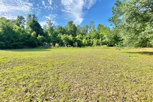 352 Michael St, Wewahitchka, FL 32465 - Photo 23
