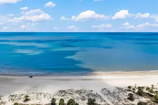 1323 Indian Pass Rd, Port Saint Joe, FL 32456 - Photo 97