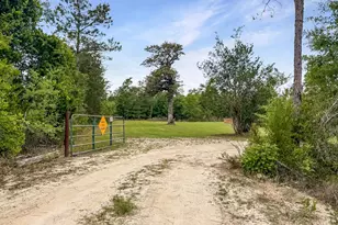 10330 SW C D Dawsey Rd, Clarksville, FL 32430 - Photo 7