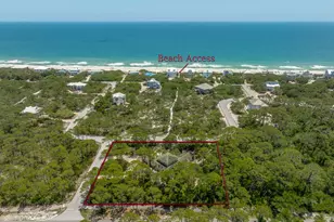 1656 Forsythia Ct, Saint George Island, FL 32328 - Photo 35