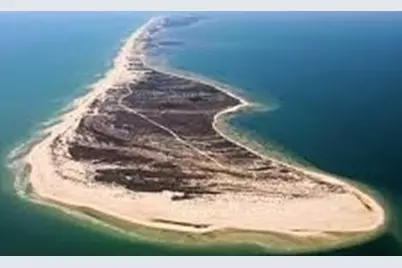 1805 E Gulf Beach Dr, Saint George Island, FL 32328 - Photo 13