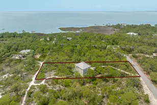 1248 Sea Dune Dr, Saint George Island, FL 32328 - Photo 49
