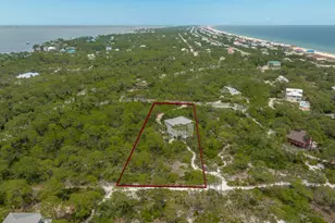 1248 Sea Dune Dr, Saint George Island, FL 32328 - Photo 51