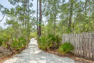 1248 Sea Dune Dr, Saint George Island, FL 32328 - Photo 47