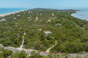 1248 Sea Dune Dr, Saint George Island, FL 32328 - Photo 47