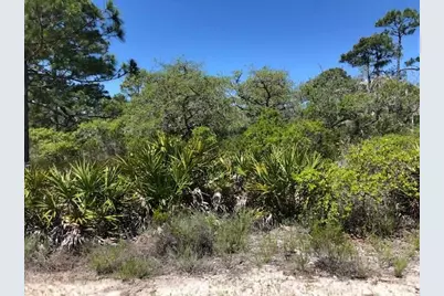 1244 Sea Dune Dr, Saint George Island, FL 32328 - Photo 9