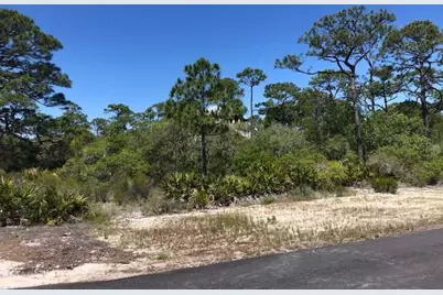 1244 Sea Dune Dr, Saint George Island, FL 32328 - Photo 5