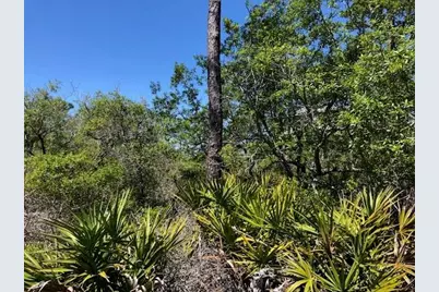 1244 Sea Dune Dr, Saint George Island, FL 32328 - Photo 11