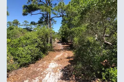 1244 Sea Dune Dr, Saint George Island, FL 32328 - Photo 3