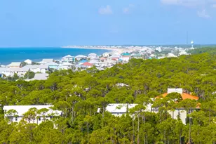 1229 Watkins Cove, Saint George Island, FL 32328 - Photo 51