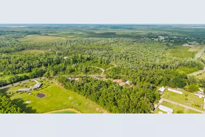 Tbd Old Dairy Farm Rd, Wewahitchka, FL 32465 - Photo 5