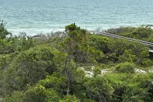 1640 Ivy Way, Saint George Island, FL 32328 - Photo 73