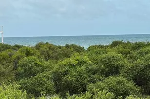 1640 Ivy Way, Saint George Island, FL 32328 - Photo 59