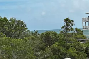 1640 Ivy Way, Saint George Island, FL 32328 - Photo 59