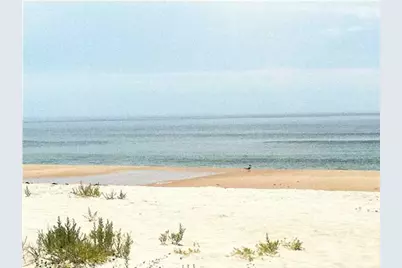 1640 Ivy Way, Saint George Island, FL 32328 - Photo 77