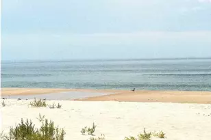 1640 Ivy Way, Saint George Island, FL 32328 - Photo 77
