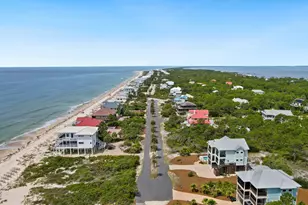 2008 Sea Fern Way, Saint George Island, FL 32328 - Photo 39