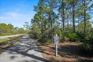 2128 Sea Fern Way, Saint George Island, FL 32328 - Photo 67